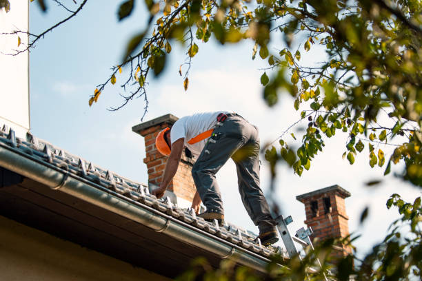 Reliable Luna Pier, MI Roofing Solutions