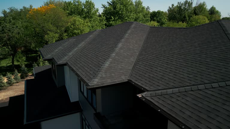 Best Flat Roofing  in Luna Pier, MI