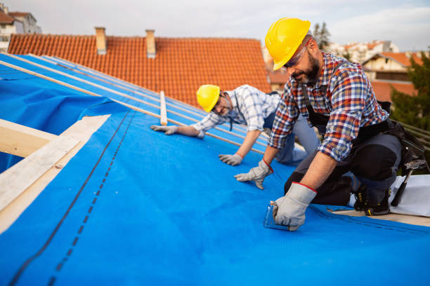Best Sheet Metal Roofing  in Luna Pier, MI