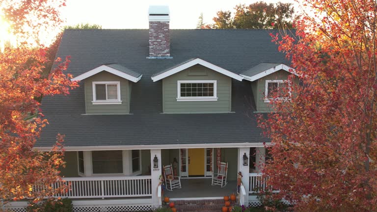 Best Roof Insulation Installation  in Luna Pier, MI