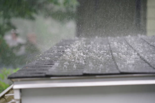 Best Commercial Roofing Services  in Luna Pier, MI