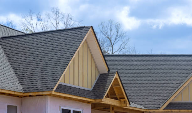 Best Emergency Roof Repair Services  in Luna Pier, MI