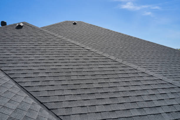 Best Roof Moss and Algae Removal  in Luna Pier, MI