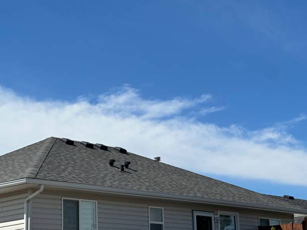 Best Asphalt Shingle Roofing  in Luna Pier, MI